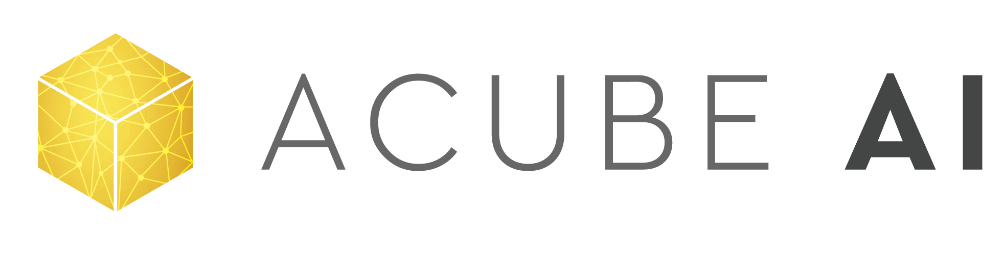 WEB BETA PRIVATE LIMITED (ACUBE AI)